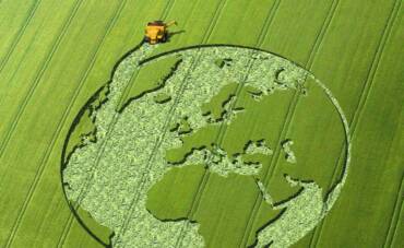 L’économie circulaire, la voie pour un système agroalimentaire durable