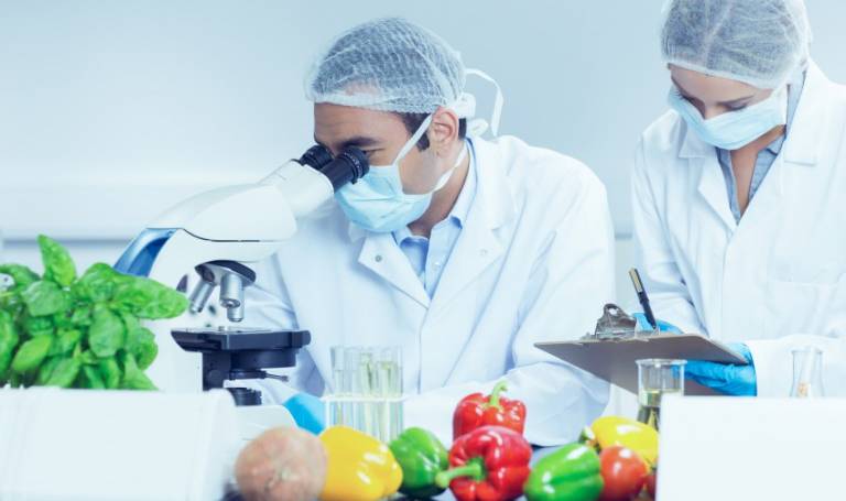 Pourquoi l’industrie agroalimentaire a besoin de l’innovation ouverte ?